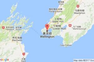 惠靈頓港口查詢_wellington港口代碼_新西蘭惠靈頓港口代碼